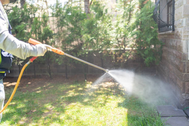 Insect Control in Atlantic Beach, FL